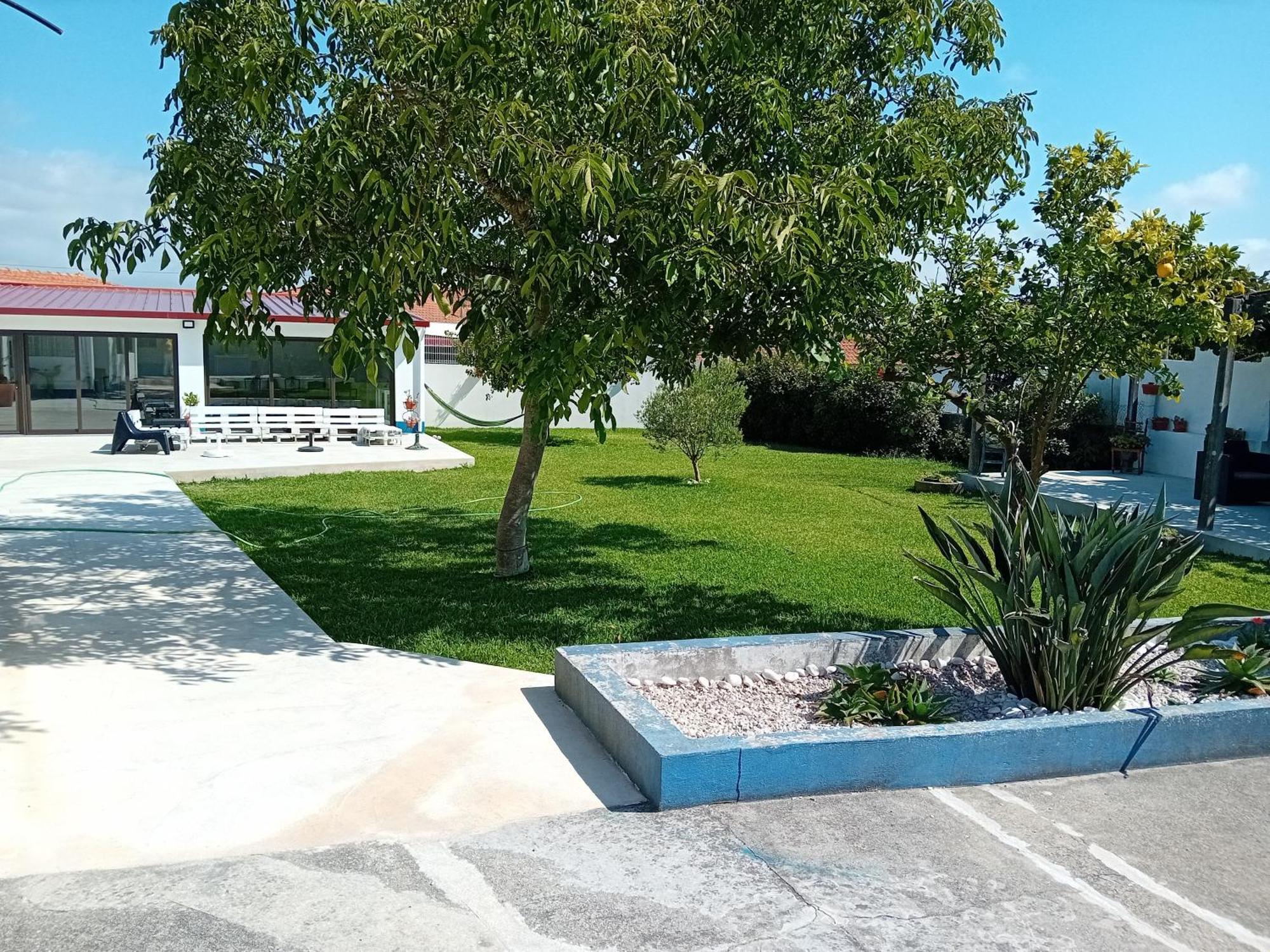 Casa Dos Avos Veras Aveiro Eksteriør billede