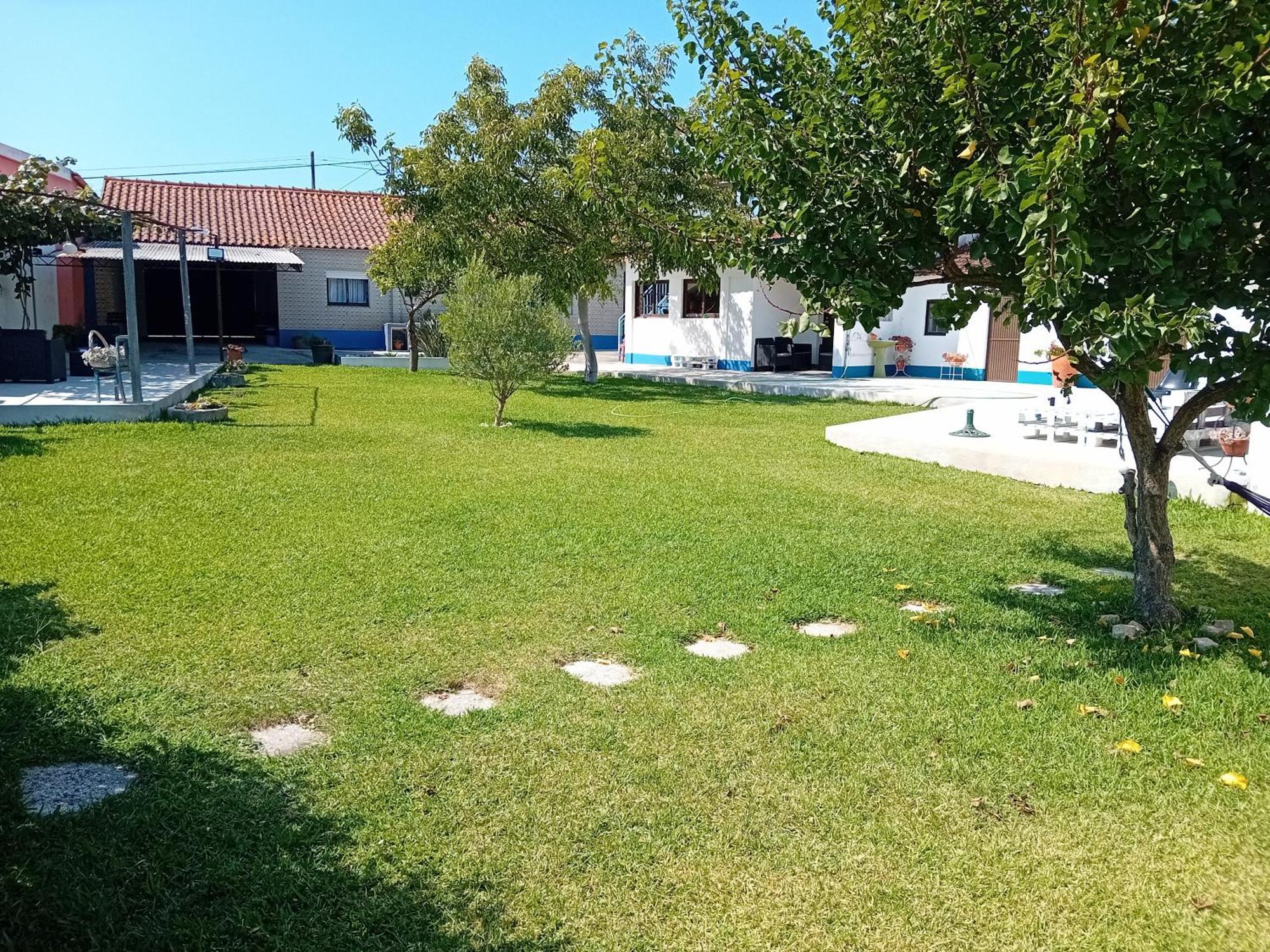 Casa Dos Avos Veras Aveiro Eksteriør billede